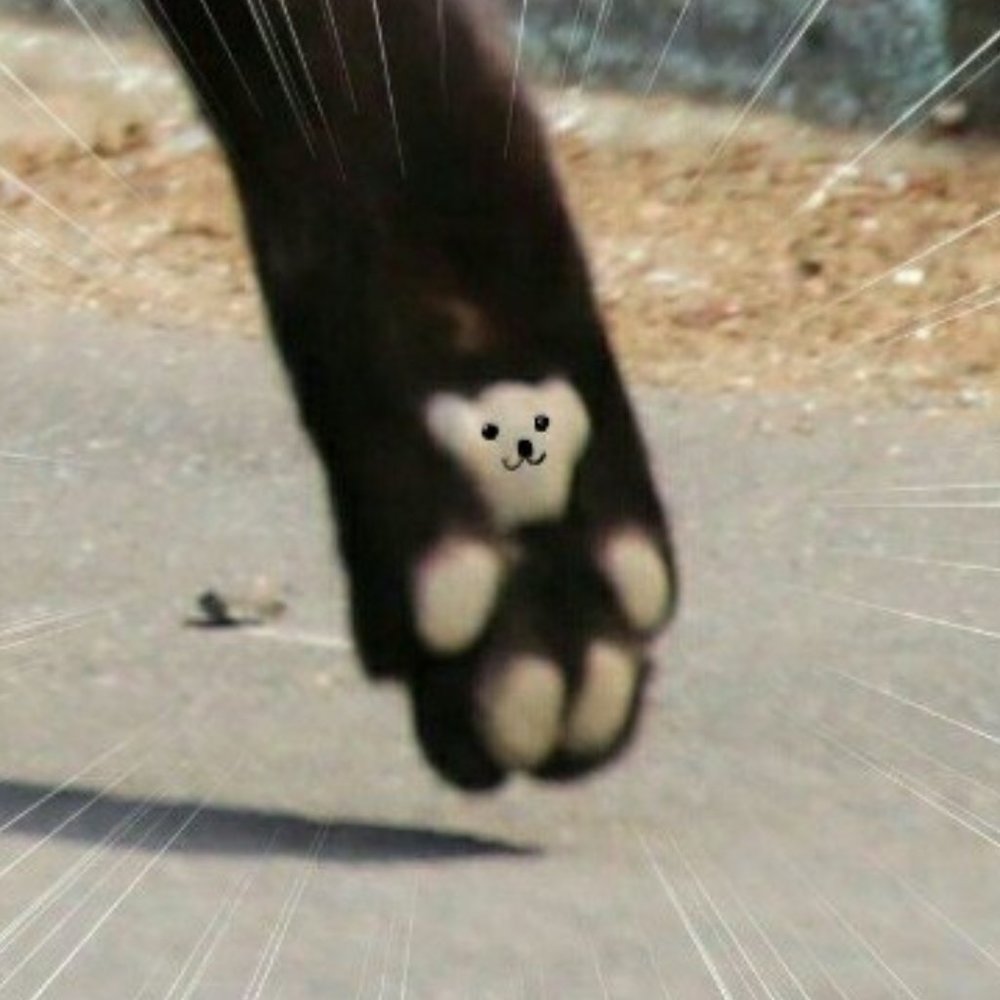 Meet your Posher, Gabby